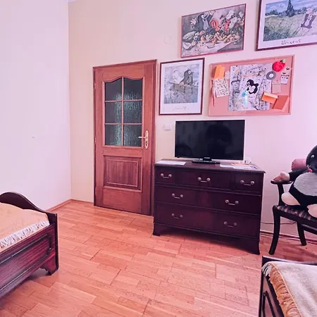 Aparthotel Krtek , 2 Beds, Theme Room, Free Parking Karlovy Vary
