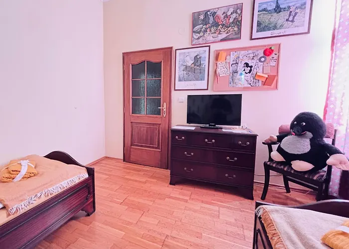 Aparthotel Krtek , 2 Beds, Theme Room, Free Parking Karlovy Vary